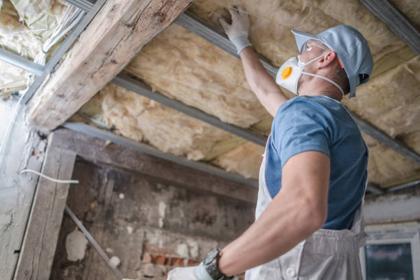 Best Insulation Installation Services in Woods Cross, UT